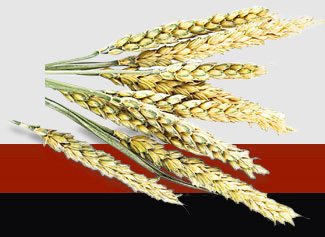 首页- 人生就是博中国官方网站