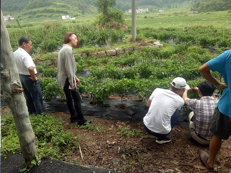 首页- 人生就是博中国官方网站