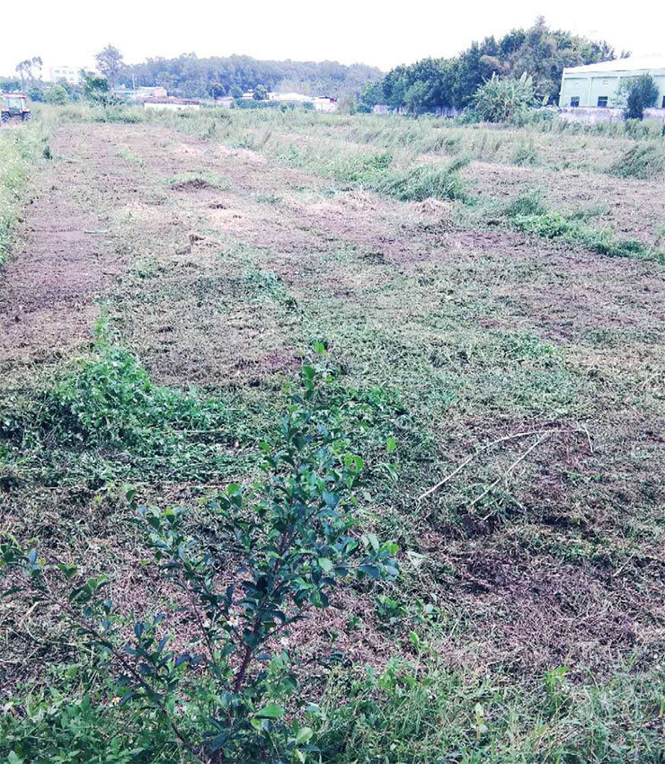 首页- 人生就是博中国官方网站