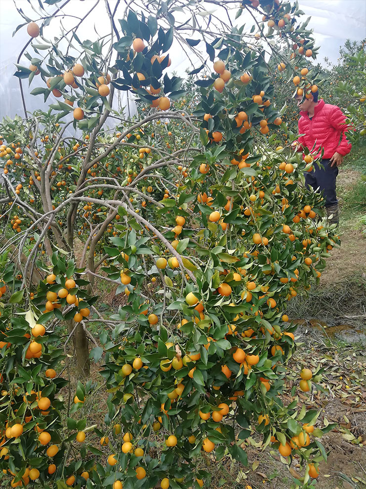 首页- 人生就是博中国官方网站