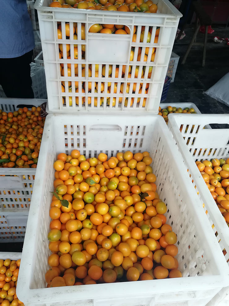 首页- 人生就是博中国官方网站