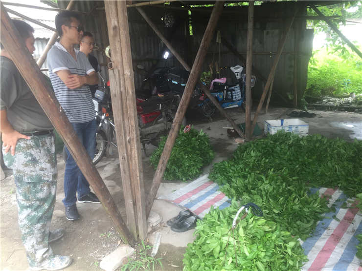 首页- 人生就是博中国官方网站