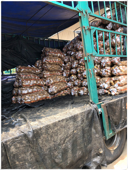 首页- 人生就是博中国官方网站