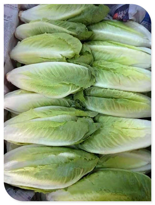 首页- 人生就是博中国官方网站