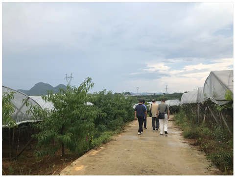 首页- 人生就是博中国官方网站