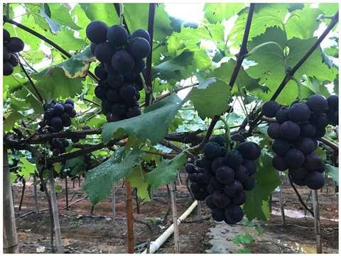 首页- 人生就是博中国官方网站