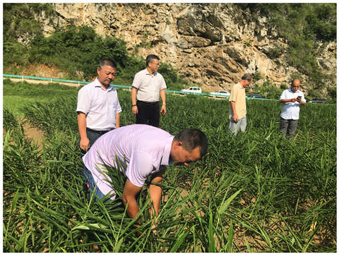 首页- 人生就是博中国官方网站