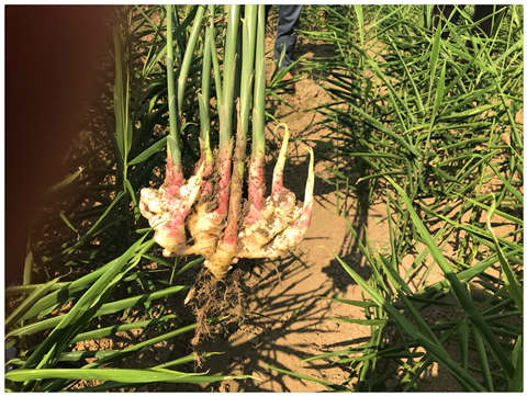 首页- 人生就是博中国官方网站