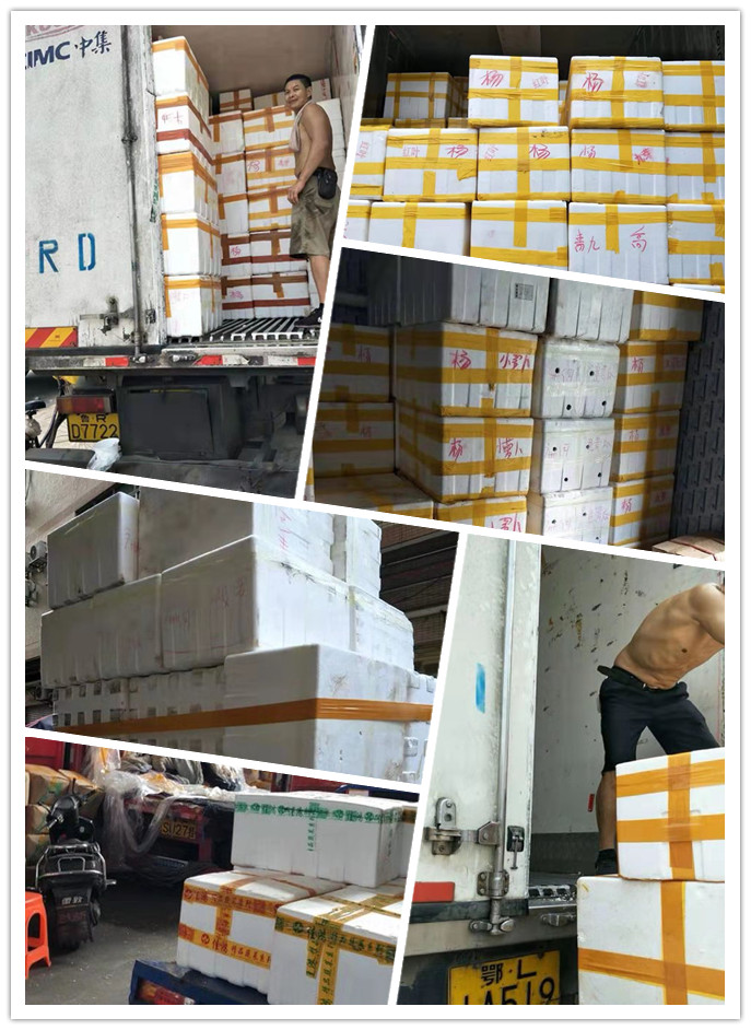 首页- 人生就是博中国官方网站