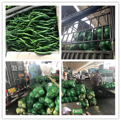 首页- 人生就是博中国官方网站