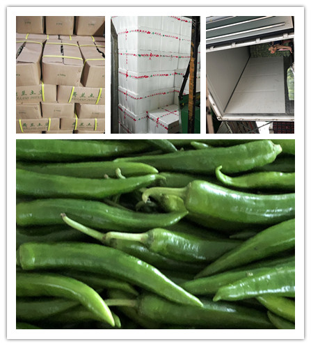 首页- 人生就是博中国官方网站