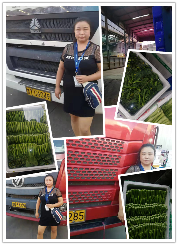 首页- 人生就是博中国官方网站