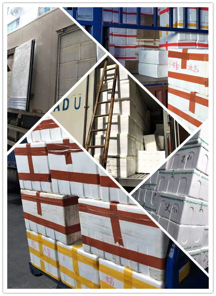 首页- 人生就是博中国官方网站