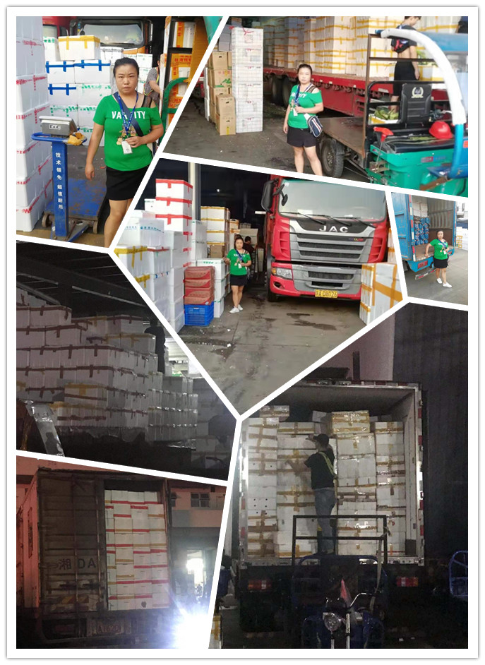 首页- 人生就是博中国官方网站