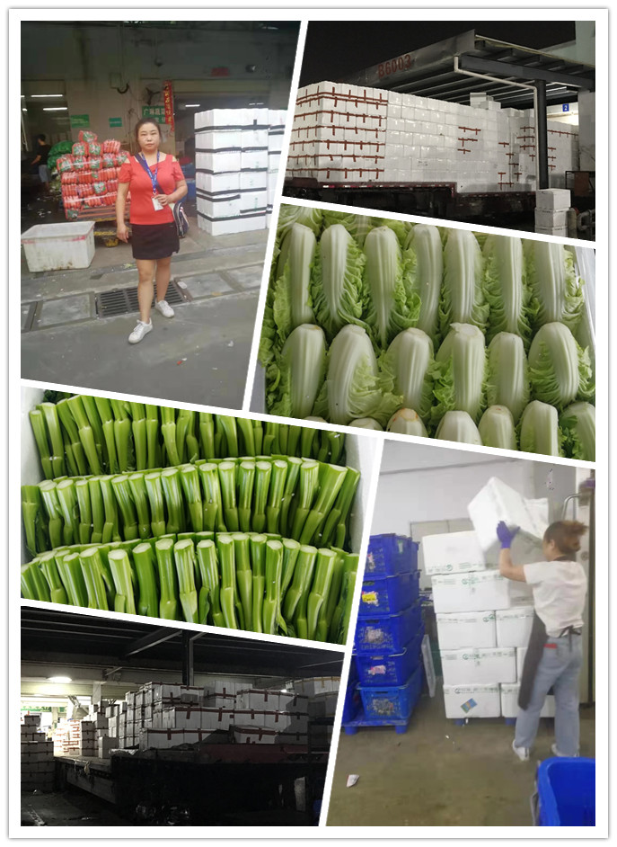 首页- 人生就是博中国官方网站