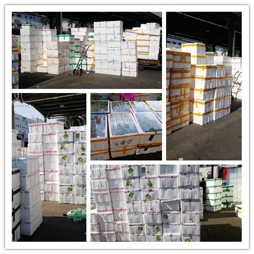 首页- 人生就是博中国官方网站