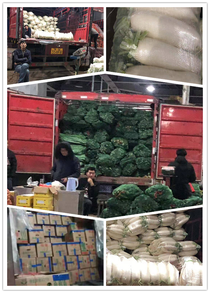 首页- 人生就是博中国官方网站