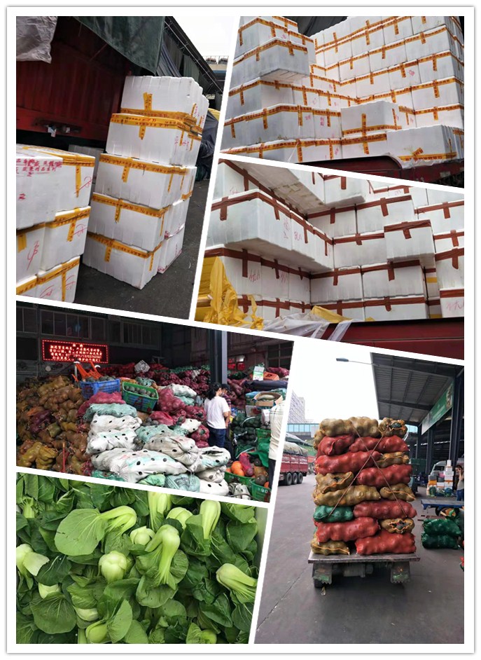 首页- 人生就是博中国官方网站