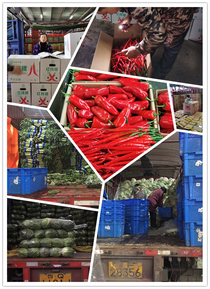 首页- 人生就是博中国官方网站