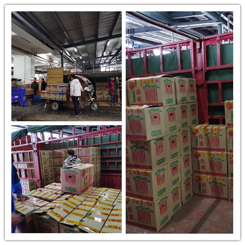 首页- 人生就是博中国官方网站