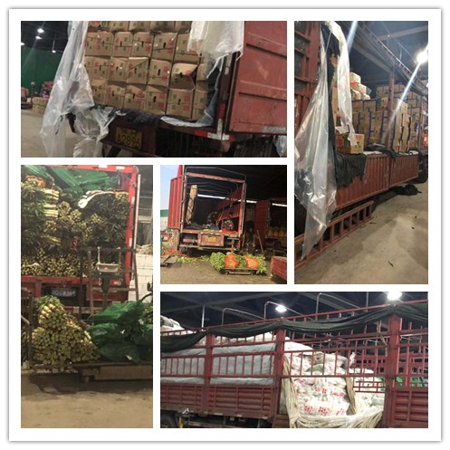 首页- 人生就是博中国官方网站