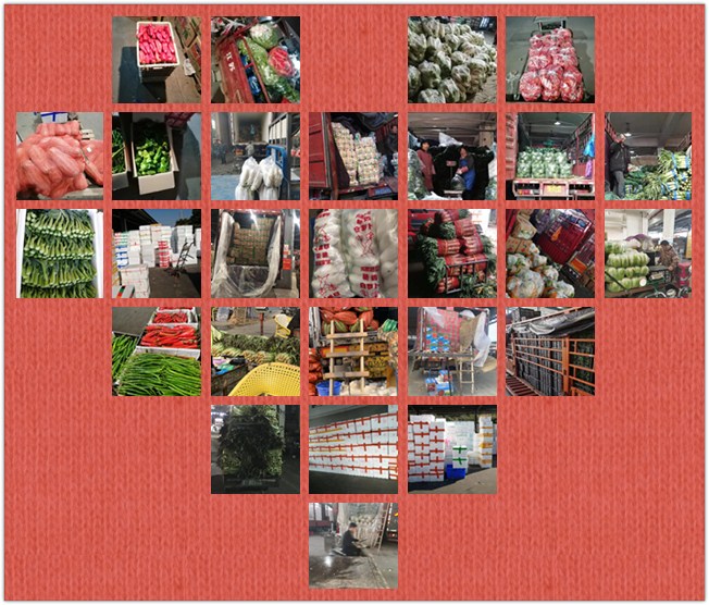 首页- 人生就是博中国官方网站