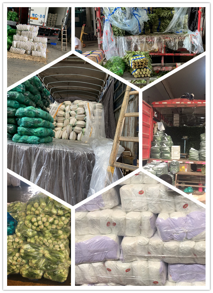 首页- 人生就是博中国官方网站