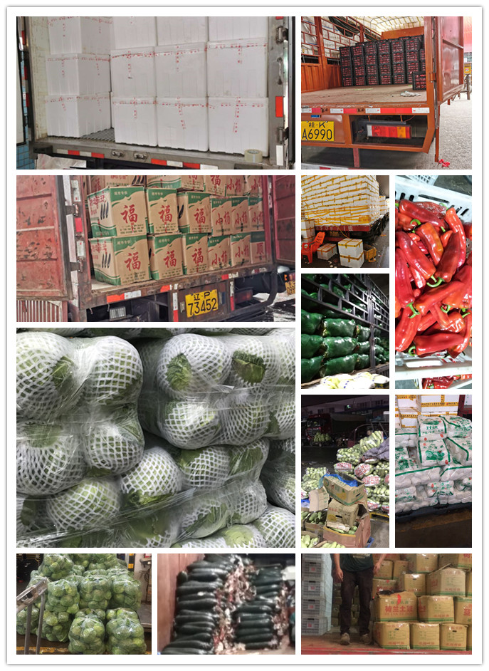 首页- 人生就是博中国官方网站