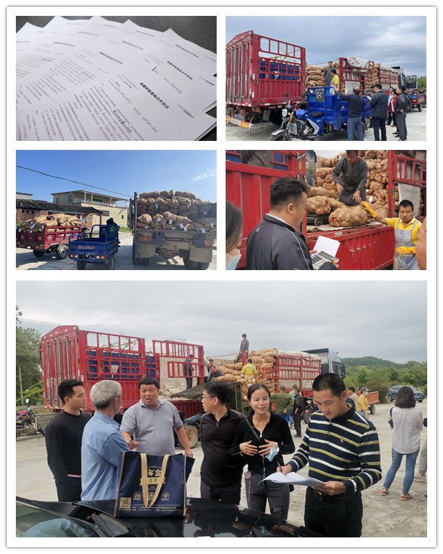 首页- 人生就是博中国官方网站