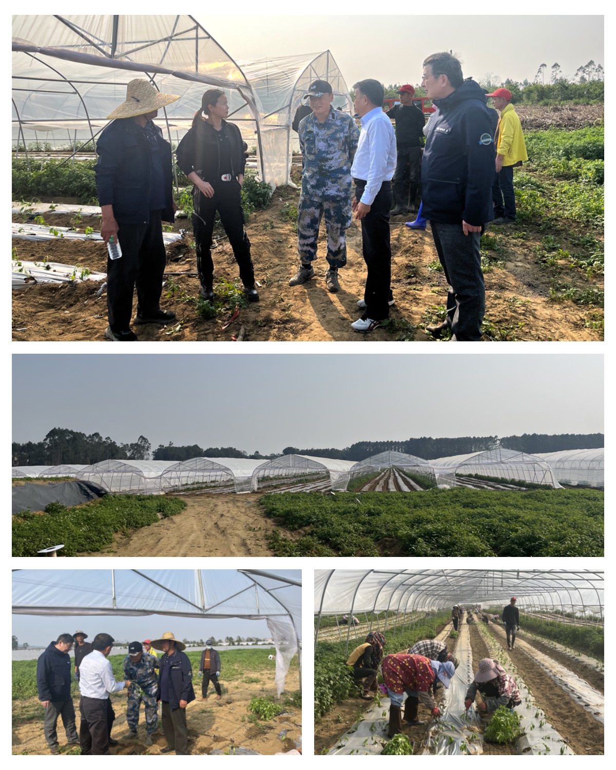 首页- 人生就是博中国官方网站