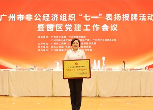 标杆引领，荣誉升级！集团党支部荣膺广州市非公有造经济组织“双强六好”标