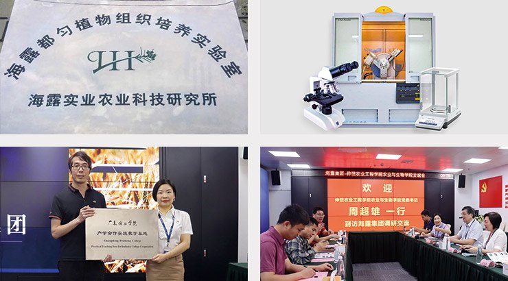 首页- 人生就是博中国官方网站